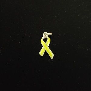 Beaucoup Designs Lymphoma Cancer Ribbon Charm